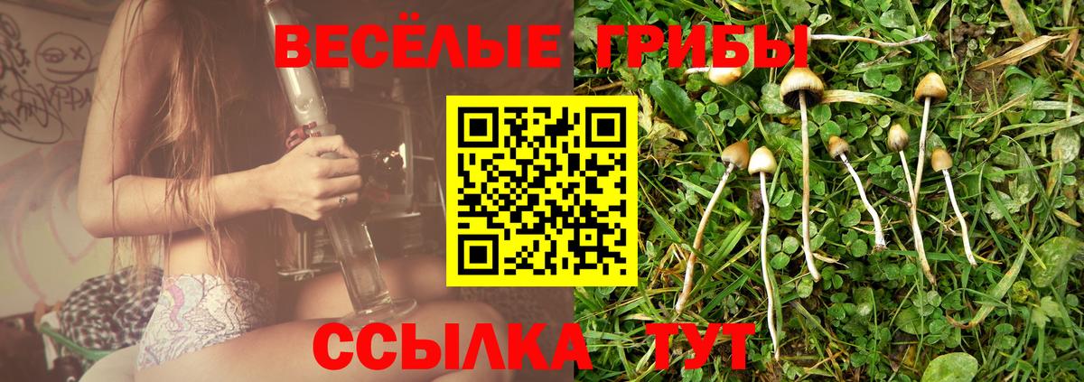 Псилоцибиновые грибы Psilocybe Глазов