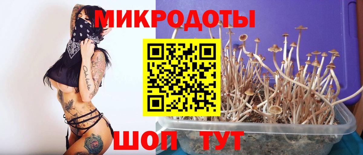 купить закладку  Вход с VPN  Глазов  Псилоцибиновые грибы мицелий 